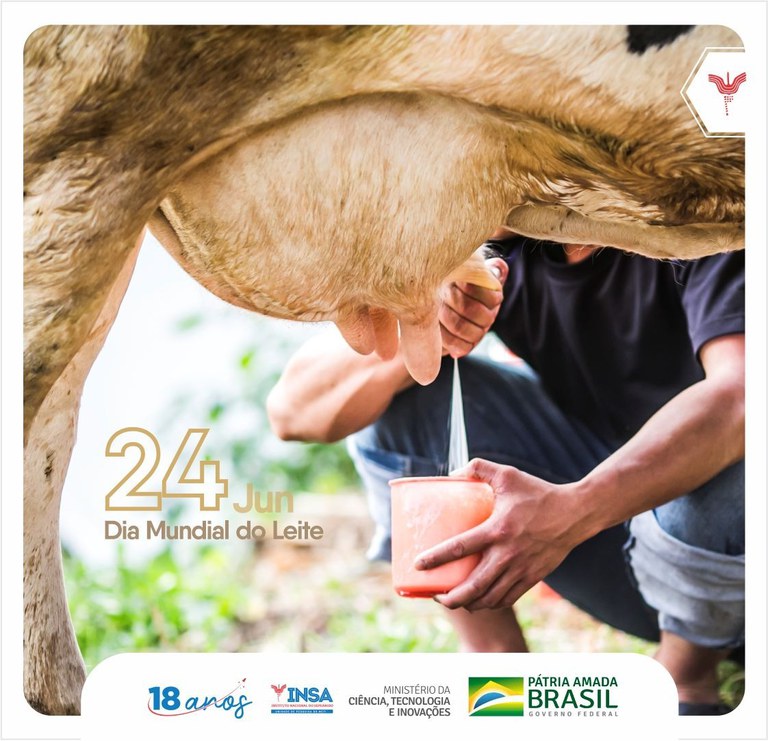 WhatsApp Image 2022-06-22 at 09.35.29.jpeg