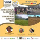 08112021 Live Produção Animal.jpeg