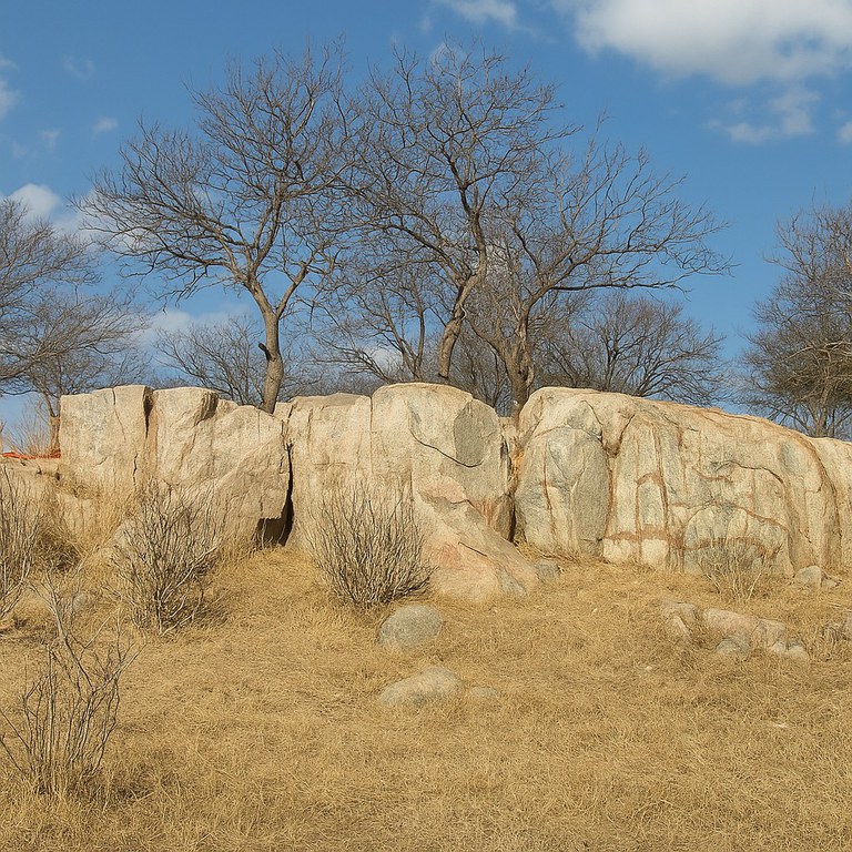 Guardião do Semiárido e Combatente das Mudanças Climáticas - a.jpeg