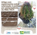 29092021 Artigo com experimentos sobre solarização é publicado por pesquisadores do INSAMCTI.jpeg