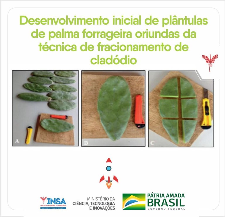 WhatsApp Image 2021-07-07 at 16.43.39.jpeg