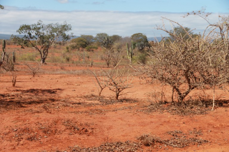 Comissão Nacional de Combate à Desertificação (CNCD) será lançada em Brasília