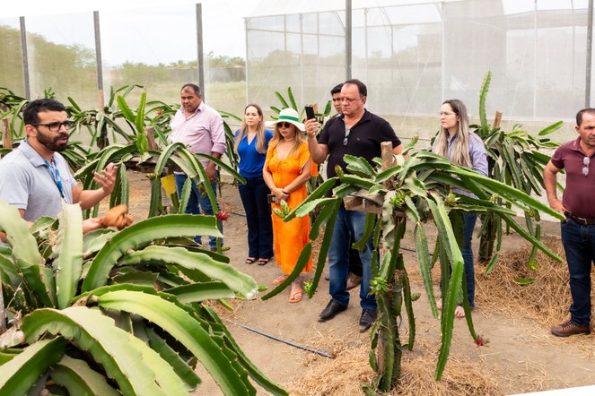 Comitiva prefeitos MG_26.jpg