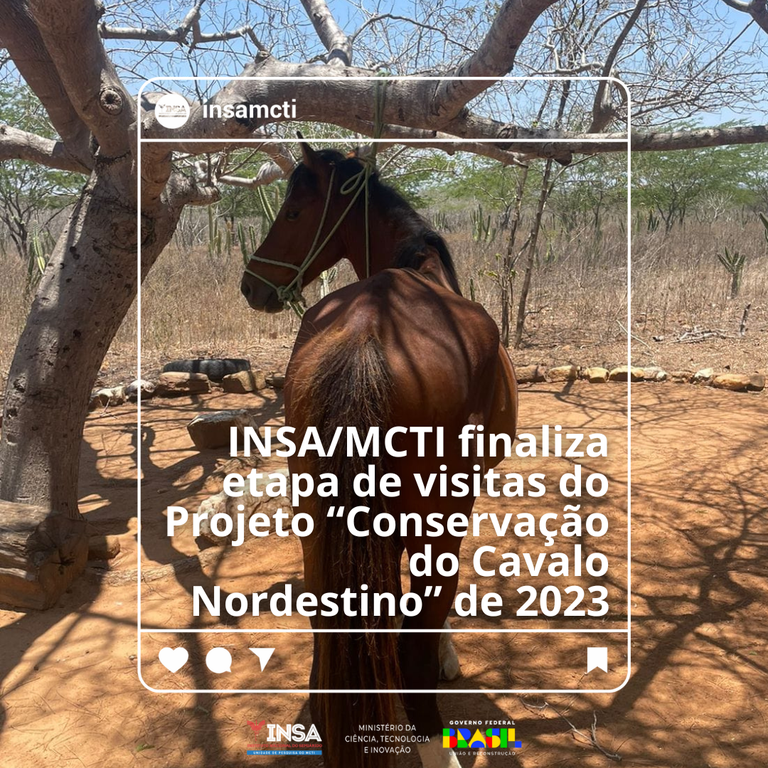 Inserir um título.png