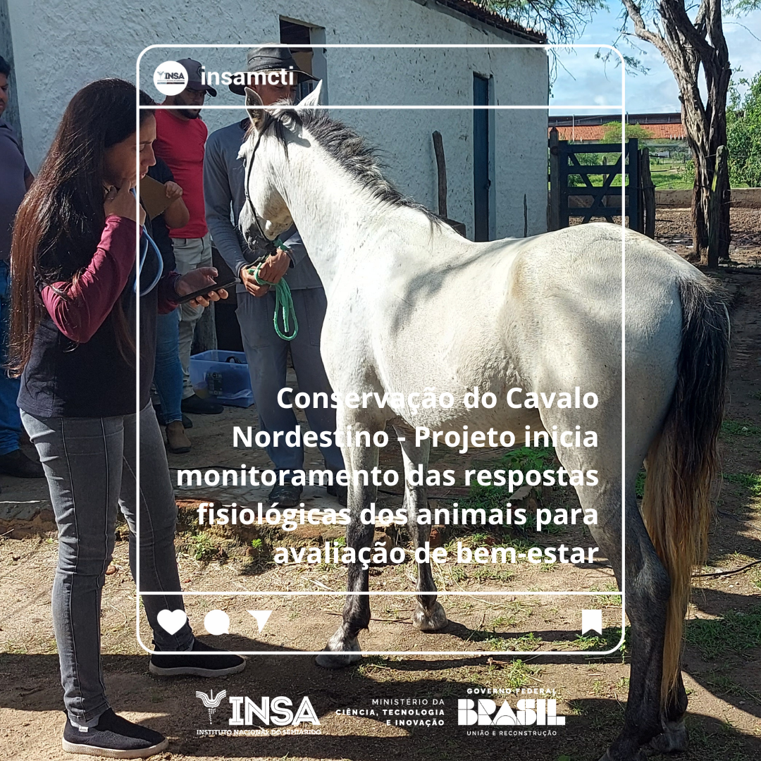 Conservação do Cavalo Nordestino - Projeto inicia monitoramento das respostas fisiológicas dos animais para avaliação de bem-estar