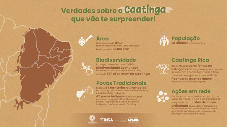 Infográfico Caatinga