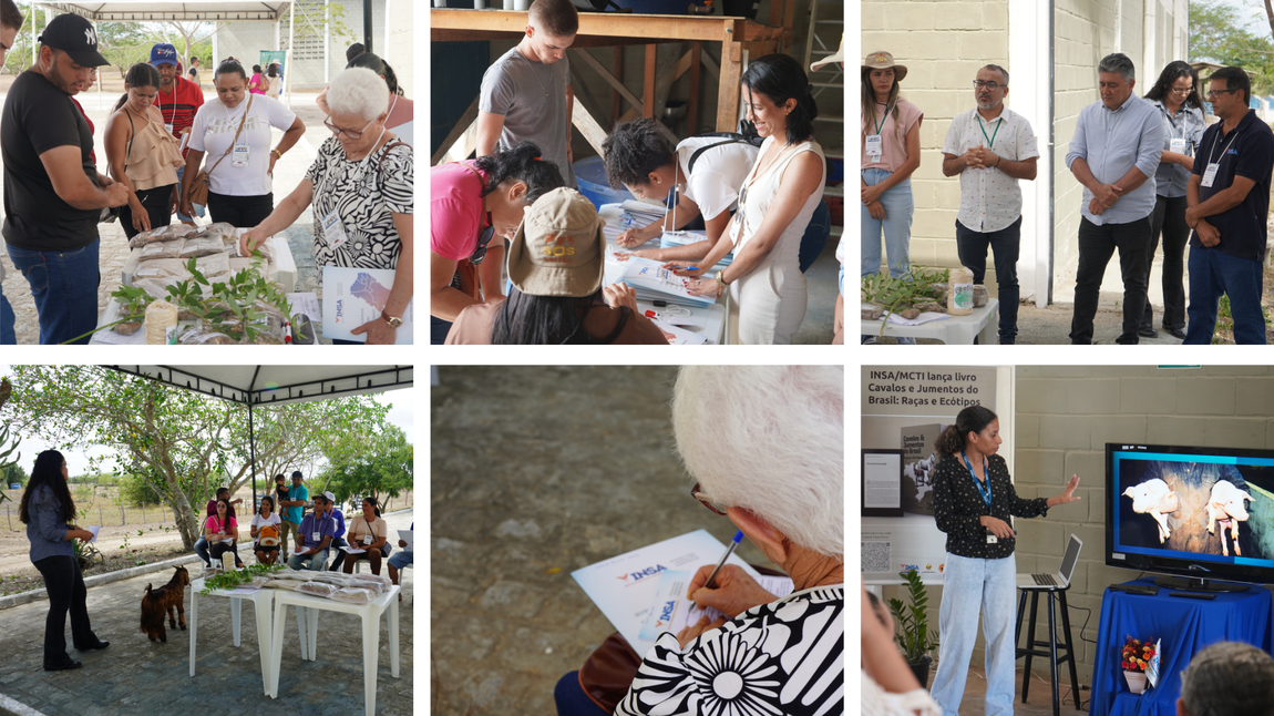 Mais registros do Dia de Campo que movimentou a Estação Experimental do INSA