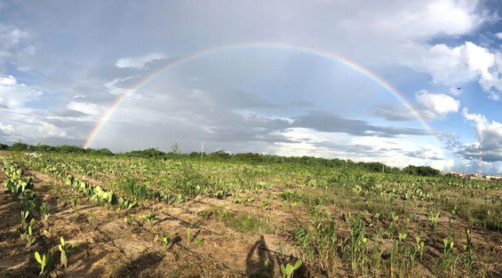 WhatsApp Image 2022-04-28 at 13.58.10.jpeg