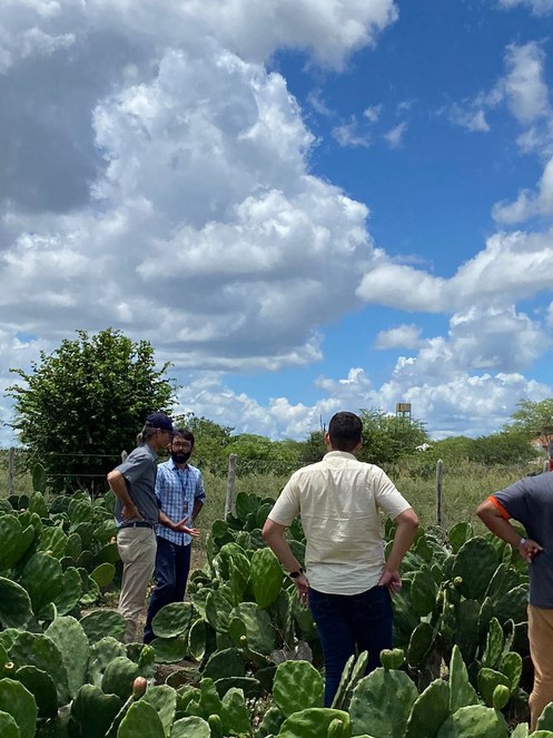 WhatsApp Image 2023-03-28 at 09.05.51.jpeg