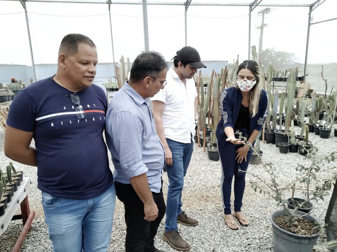 INSA/MCTI recebe comitiva do RN em visita técnica 4.jpeg