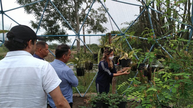 INSA/MCTI recebe comitiva do RN em visita técnica 5.jpeg