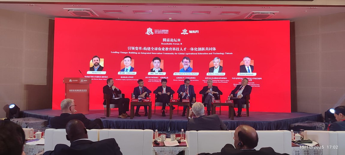 Intercâmbio em Pequim