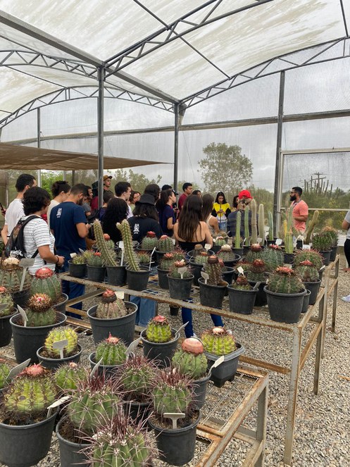 WhatsApp Image 2023-03-29 at 17.12.42 (1).jpeg