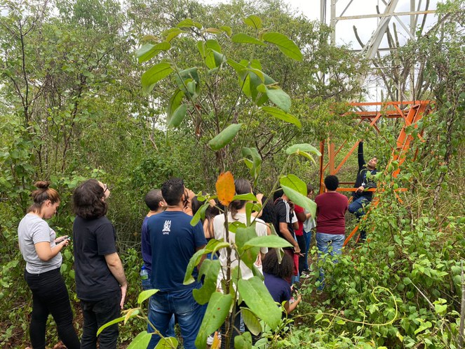 WhatsApp Image 2023-03-29 at 17.14.17.jpeg