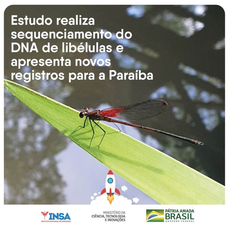 14032022 Estudo realiza sequenciamento do DNA de libélulas e apresenta novos registros para a Paraíba.jpg