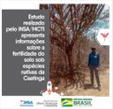 17122021 Estudo realizado pelo INSAMCTI apresenta informações sobre a fertilidade do solo sob espécies nativas da Caatinga 00.jpeg