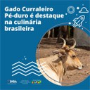 WhatsApp Image 2023-06-13 at 09.25.47.jpeg