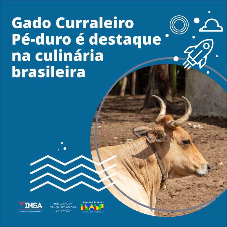 WhatsApp Image 2023-06-13 at 09.25.47.jpeg