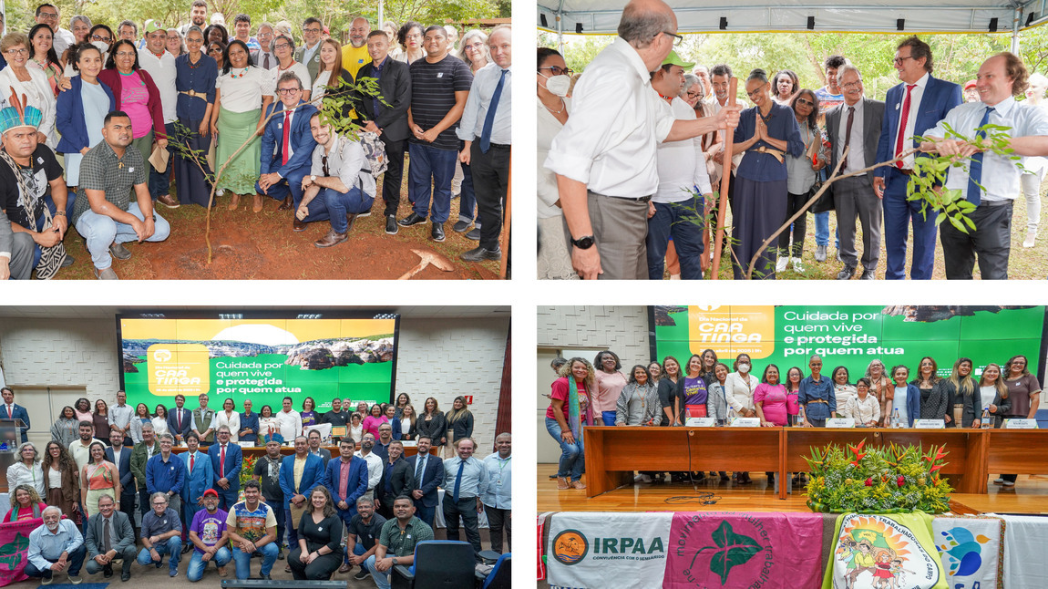 Governo Federal reforça ações contra desertificação no Semiárido brasileiro