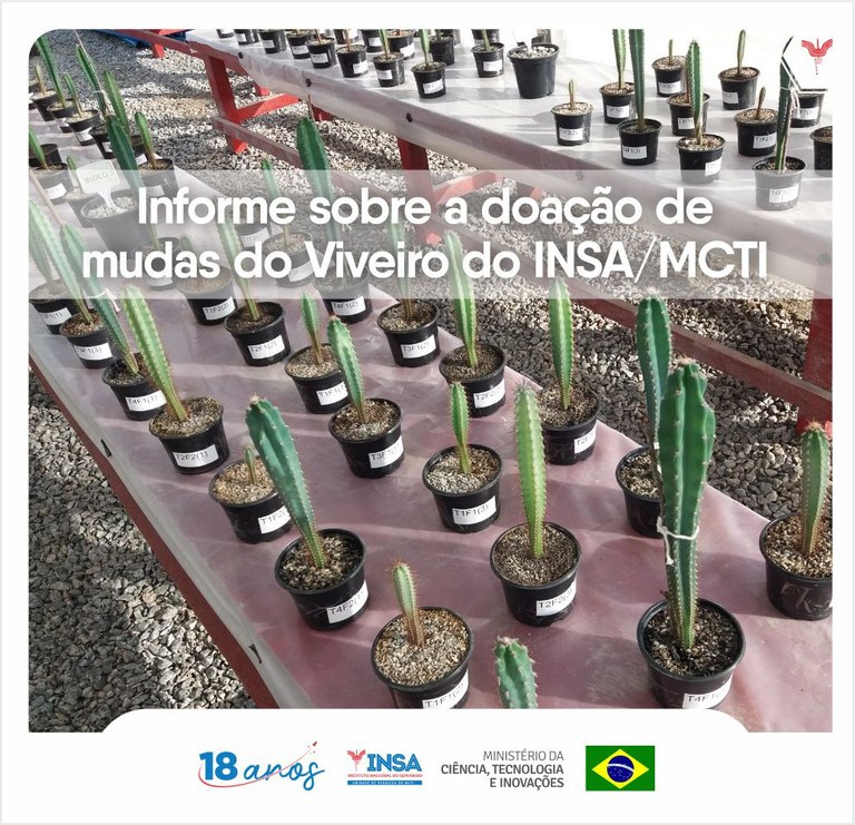 21072022 Viveiro do INSAMCTI.jpeg