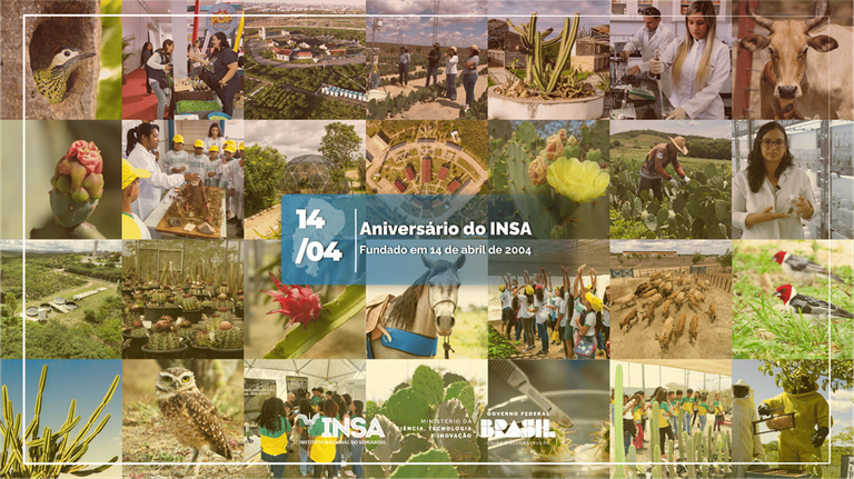 INSA completa 21 anos de Ciência a Serviço do Semiárido