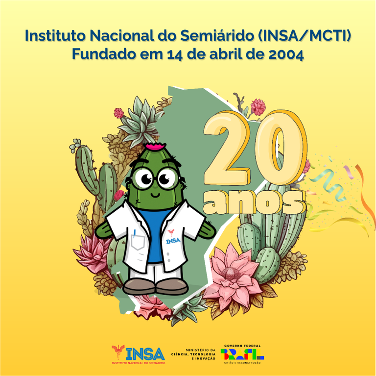 INSAMCTI 20 anos card
