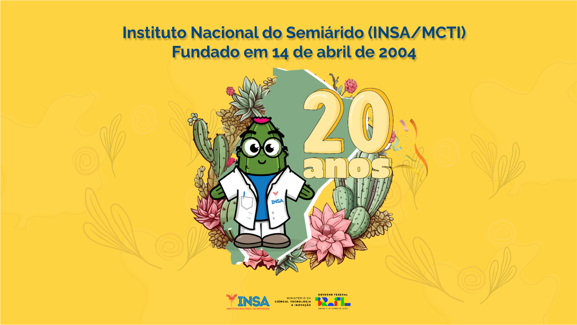 INSAMCTI 20 anos desktop