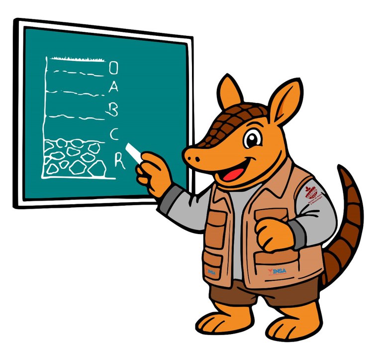 INSA/MCTI deposita pedido de registro da marca coletiva Tatu-Pédon