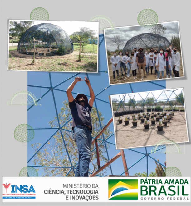 05112021 INSAMCTI desenvolve projeto para construção de casa de vegetação com baixo custo 1.png