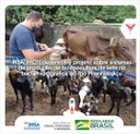 28092021 INSAMCTI desenvolve projeto sobre sistemas de produção de bovinocultura de leite na bacia hidrográfica do Rio Piranhas-Açu 0.jpeg