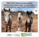 12112021 INSAMCTI desenvolverá projeto voltado para preservação, conservação e multiplicação da raça Cavalo Nordestino.jpeg