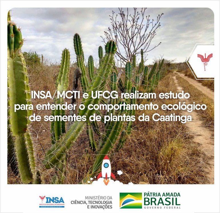 30092021 INSAMCTI e UFCG realizam estudo para entender o comportamento ecológico de sementes de plantas da caatinga - edit.jpeg