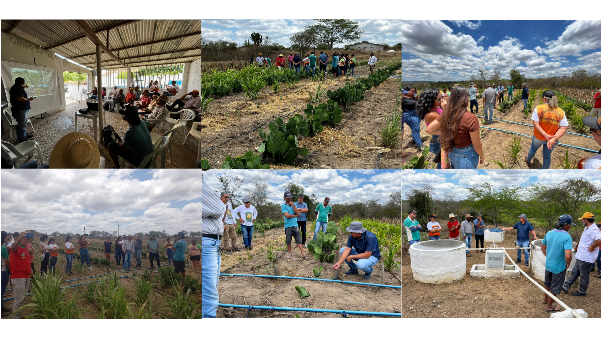 Design sem nome (1).png