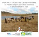 02022022 INSA_MCTI em parceria com o Núcleo do Cavalo Nordestino 00.jpeg