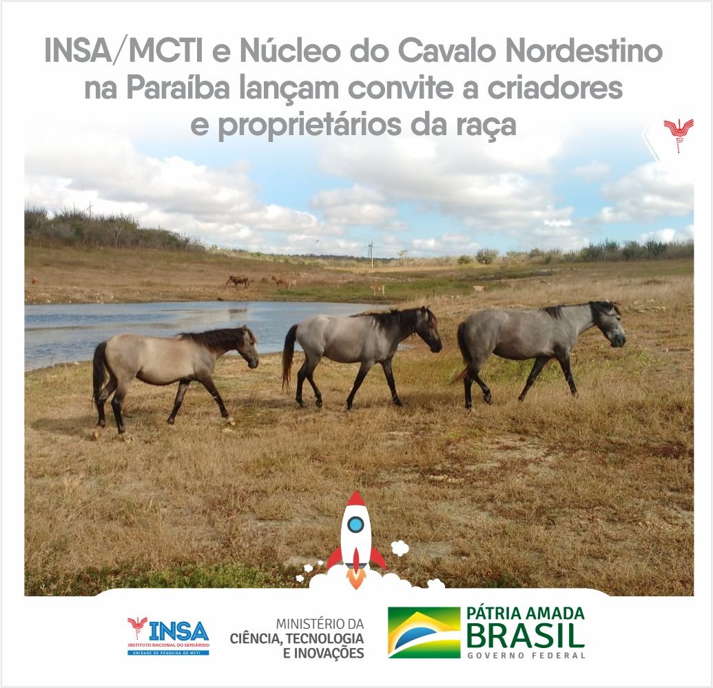 02022022 INSA_MCTI em parceria com o Núcleo do Cavalo Nordestino 00.jpeg