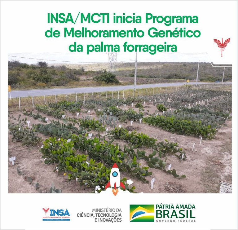 15102021 INSAMCTI inicia Programa de Melhoramento Genético da palma forrageira.jpeg