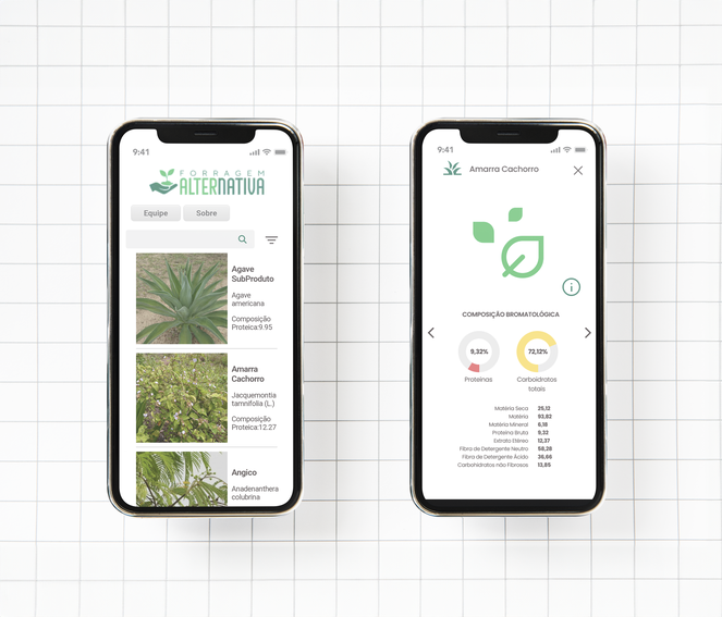 INTERIOR QUADRADO.png