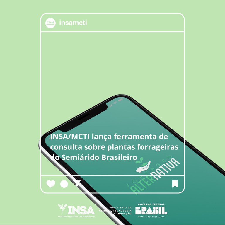 WhatsApp Image 2024-03-19 at 11.54.59.jpeg