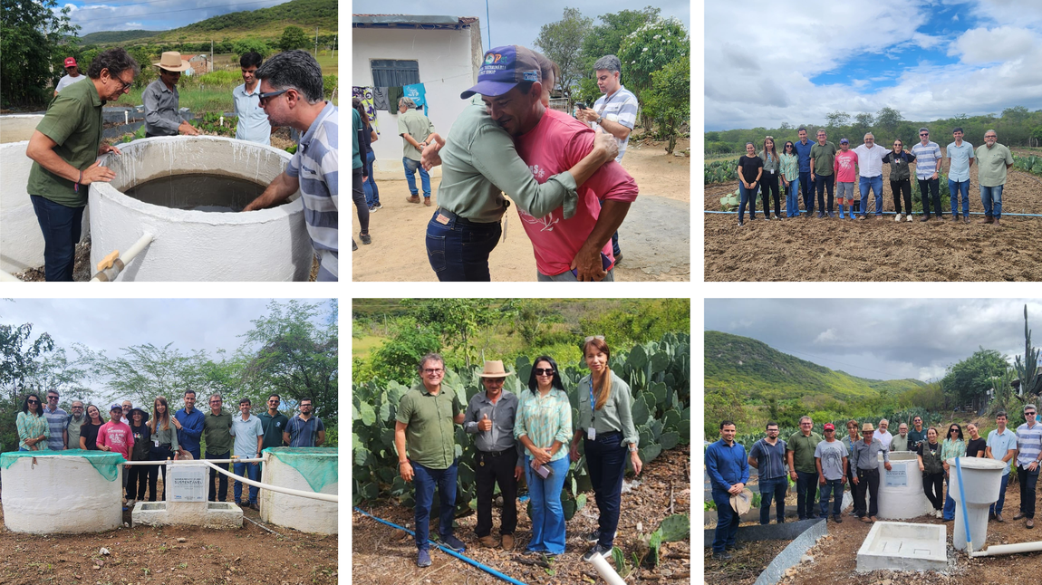 Card Mosaico - Site.png