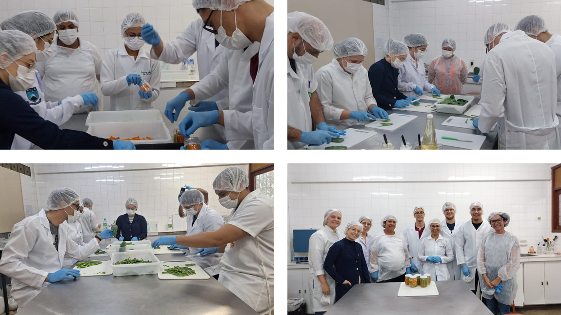 INSA/MCTI ministrou minicurso sobre elaboração de picles de palma forrageira