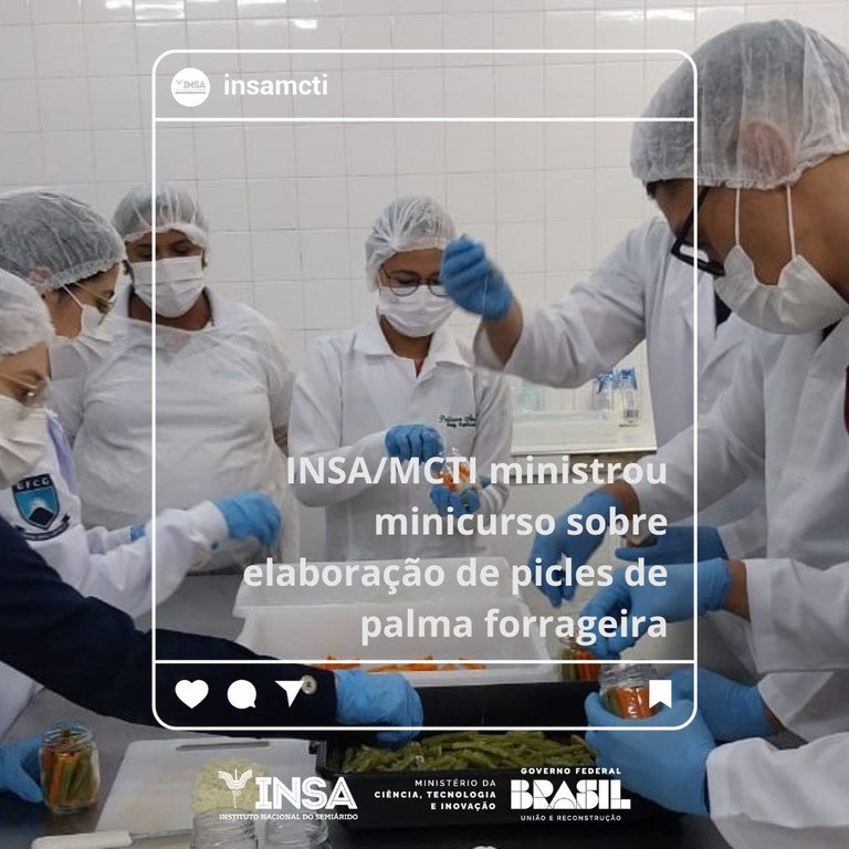 INSA/MCTI ministrou minicurso sobre elaboração de picles de palma forrageira