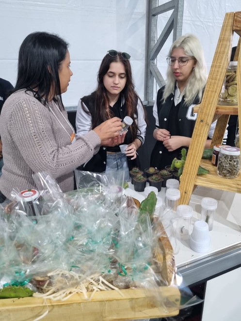 WhatsApp Image 2023-07-28 at 13.37.14.jpeg