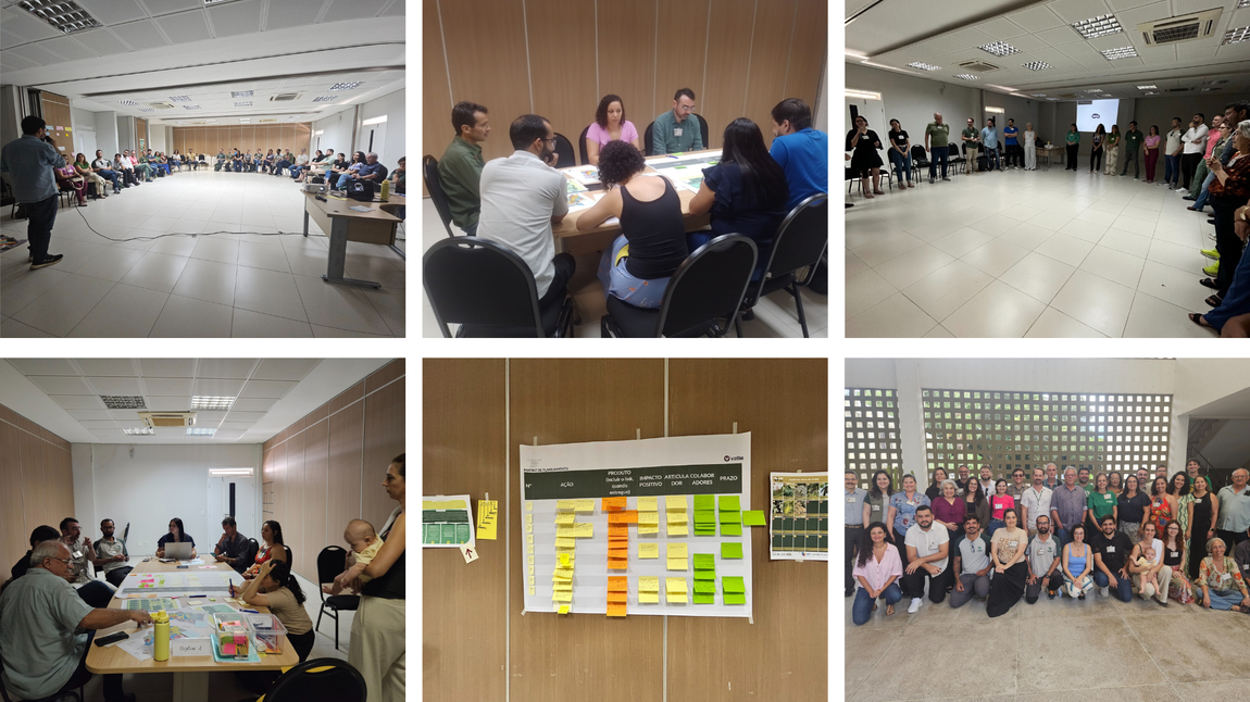 INSA em Oficina de Planejamento do Plano de Ação Nacional (PAN) Flora da Caatinga.png