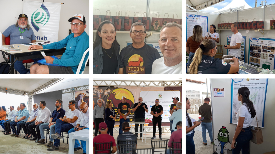 O evento também promoveu a comercialização de produtos da agricultura familiar, em parceria com o Sebrae. Fotos: Agência Xique Xique e Chrislanne Carvalho