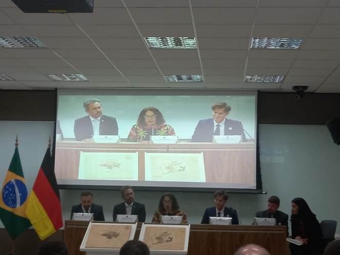 WhatsApp Image 2023-06-12 at 20.45.25 (1).jpeg