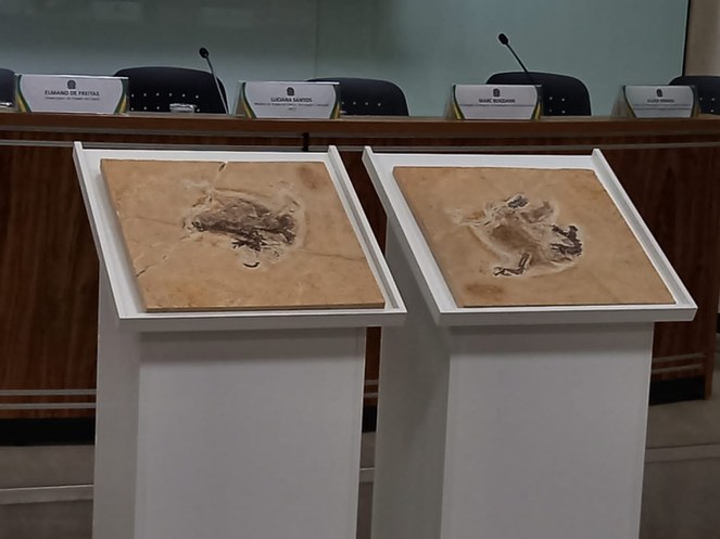 WhatsApp Image 2023-06-12 at 20.45.25.jpeg