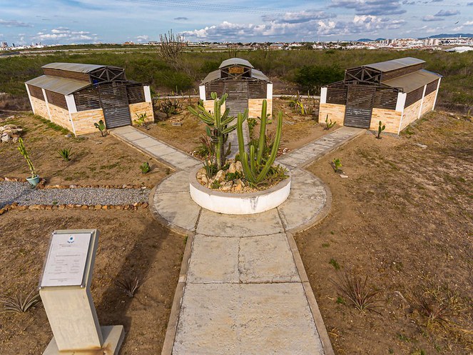 WhatsApp Image 2023-10-30 at 15.37.49.jpeg