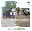 09022022 INSAMCTI realiza doação de mudas para auxiliar no reflorestamento da Caatinga 00.jpeg