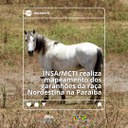 WhatsApp Image 2023-11-08 at 10.30.50.jpeg