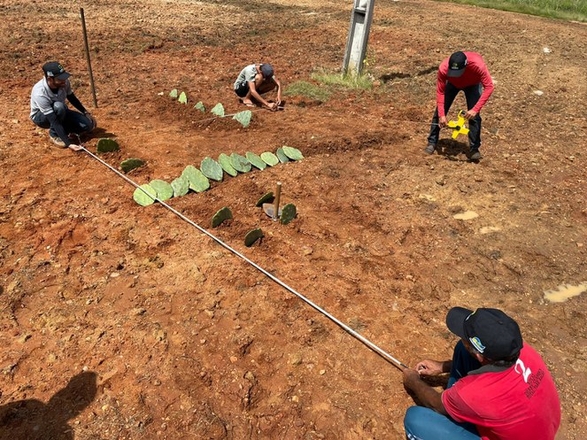 Oficina de Multiplicação da Palma Forrageira em São Fernando (RN) 2